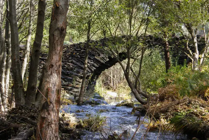 Puente de Los Machos