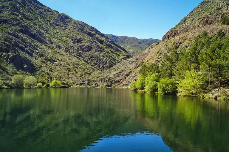 Presa Majá Robledo