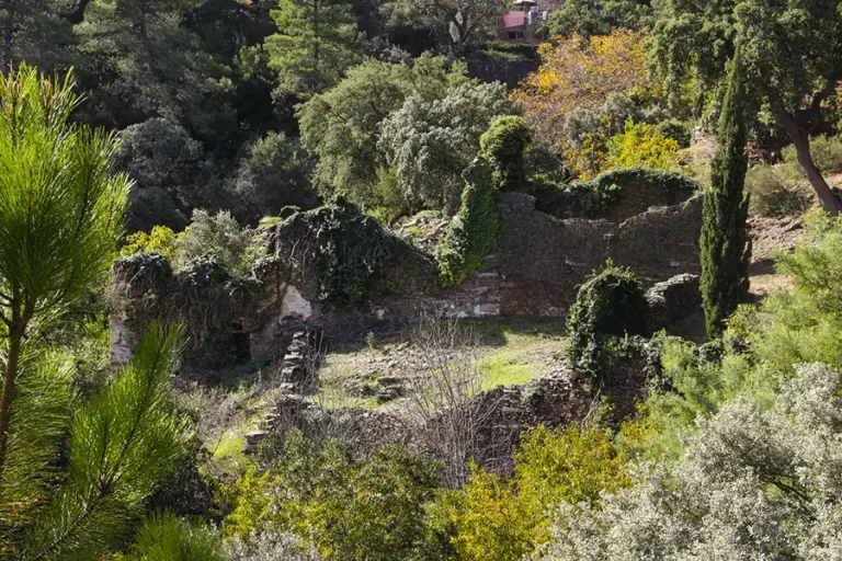 Ruinas del Convento de Los Ángeles